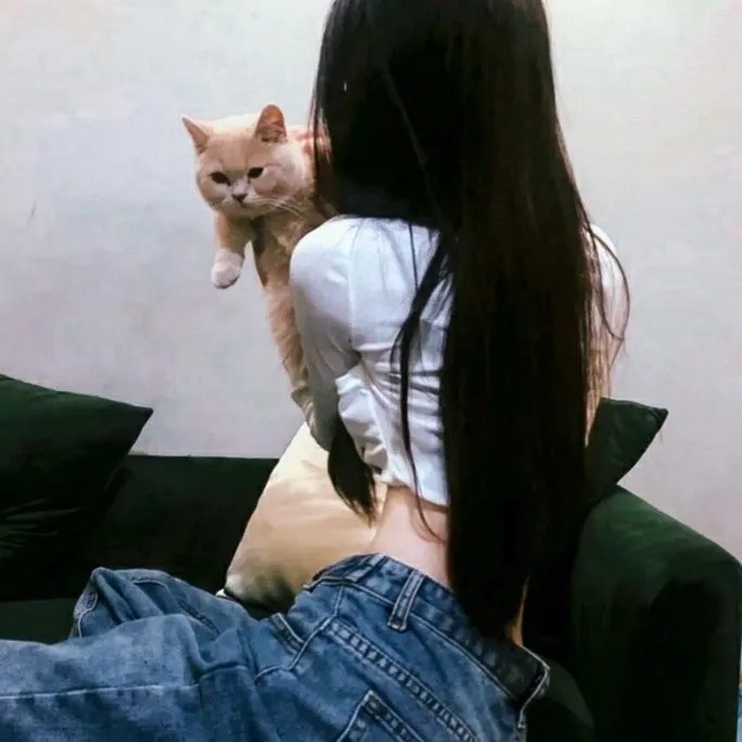 蚁哥正传
